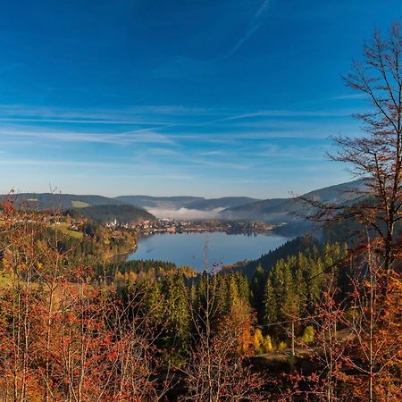 Ferienhaus Schwarzwaldstern, Todtnau, 3 Schlafzimmer Esterno foto